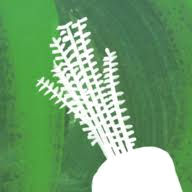 Riverford logo